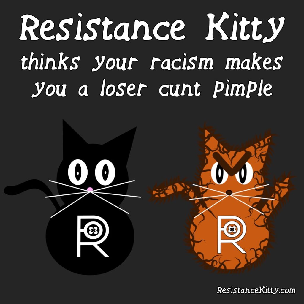 Resistance Kitty thinks your racism makes you a loser cunt pimple and she is standing with her friend who is a lovely orange kitty and flipping racists the bird.