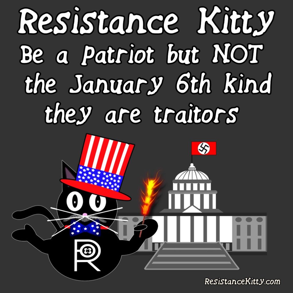 Resistance Kitty says be a patriot but NOT the January 6th kind because they are traitors. She is dressed as uncle sam in front of the capitol building.