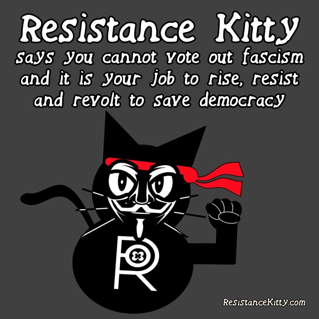 Resistance Kitty says you cannot vote out fascism and it is your job to rise, resist, and resolved to save democracy. She is sporting her total rambo war paint.