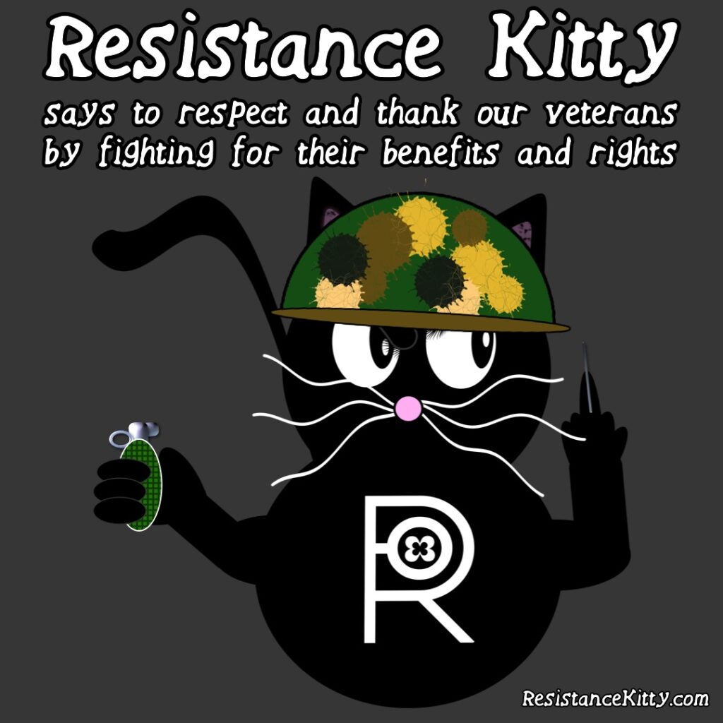 Resistance Kitty says to respect and thank our veterans by fighting for their benefits and rights. she is dressed in military garb with a gun and a grenade.
