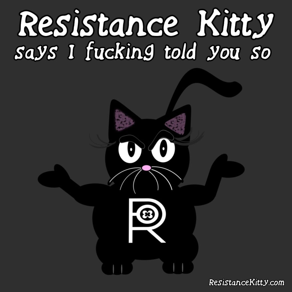Resistance kitty says "I told you so". she is shrugging.