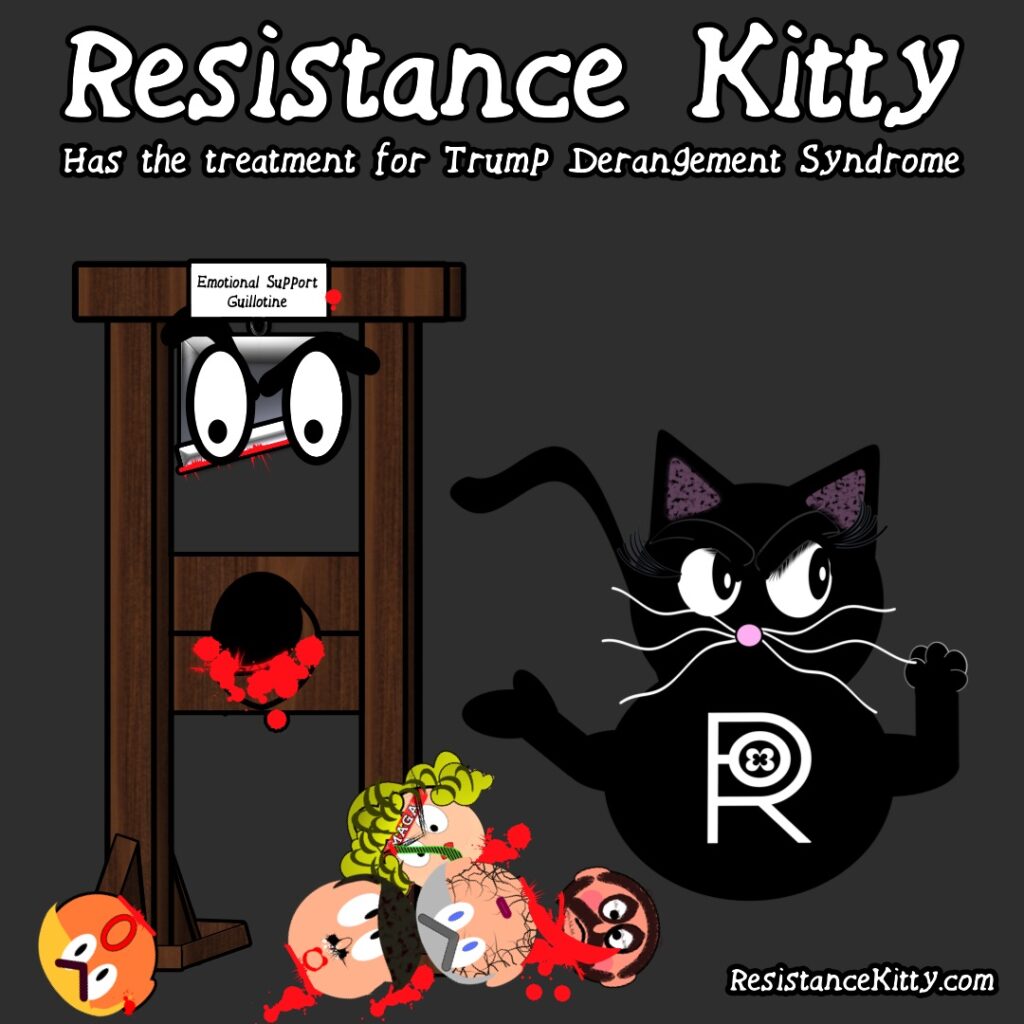 Resistance Kitty has the treatment for Trump Derangement Syndrome. She has her pet guillotine and has a pile of heads. A retort to the bill trying to make this a diagnosis.