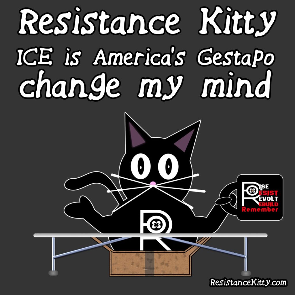 Resistance Kitty said ICE is America's gestapo, change my mind. She is sitting with coffee behind a table in a box like that famous meme.