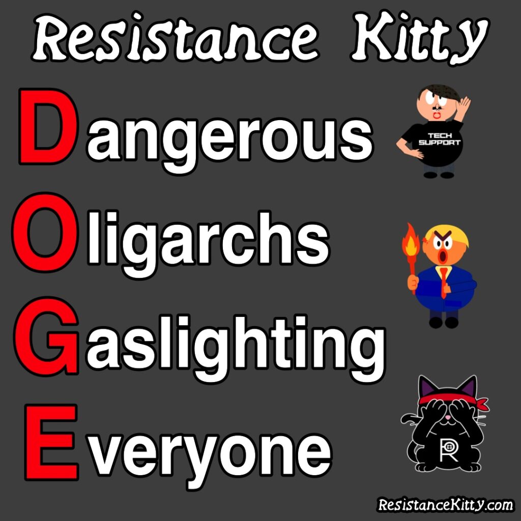 Resistance Kitty says "DOGE means dangerous oligarchs gaslighting everyone"