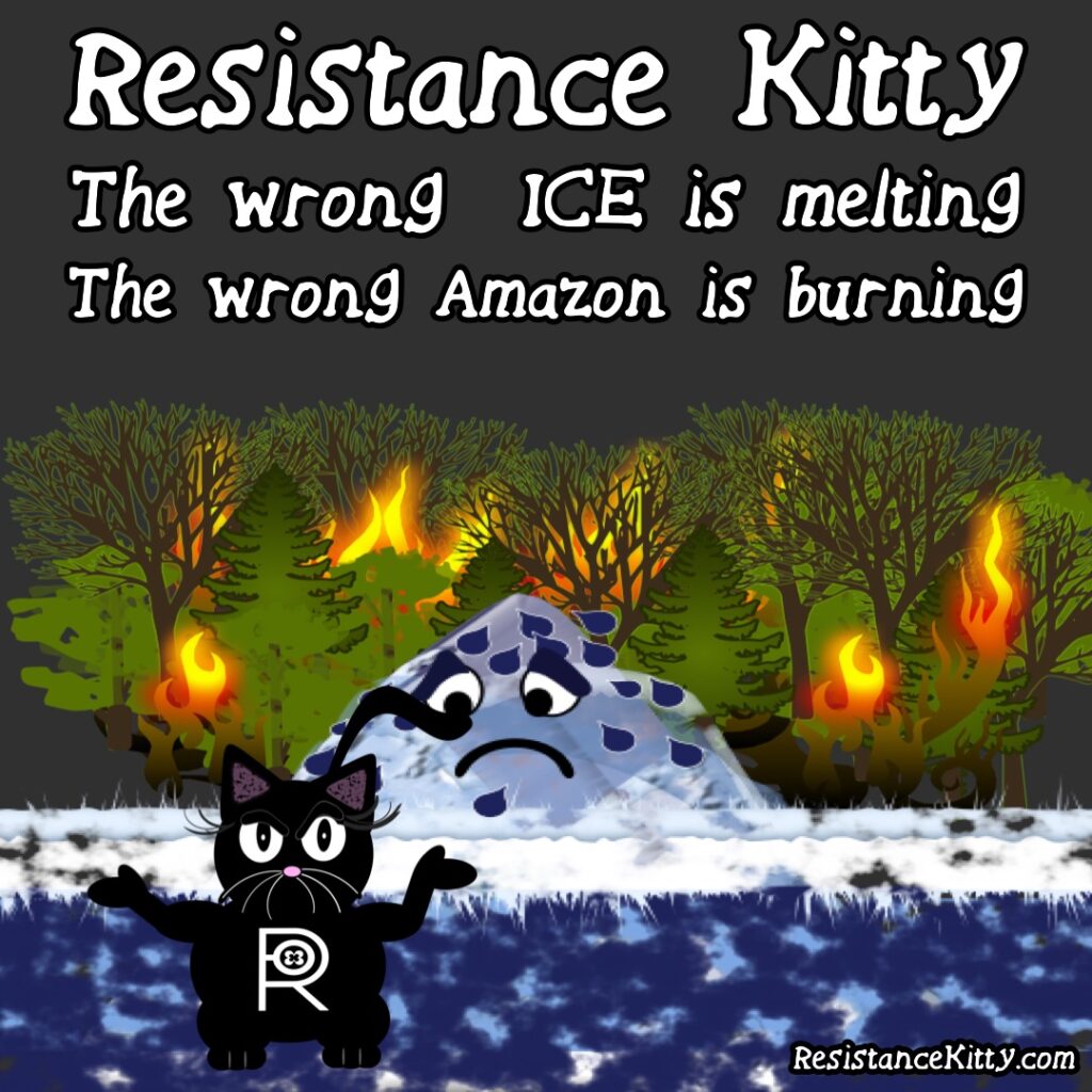 Resistance Kitty says "The wrong Amazon is melting and the wrong ICE is melting" She is crying in front of a burning forest and melting arctic.