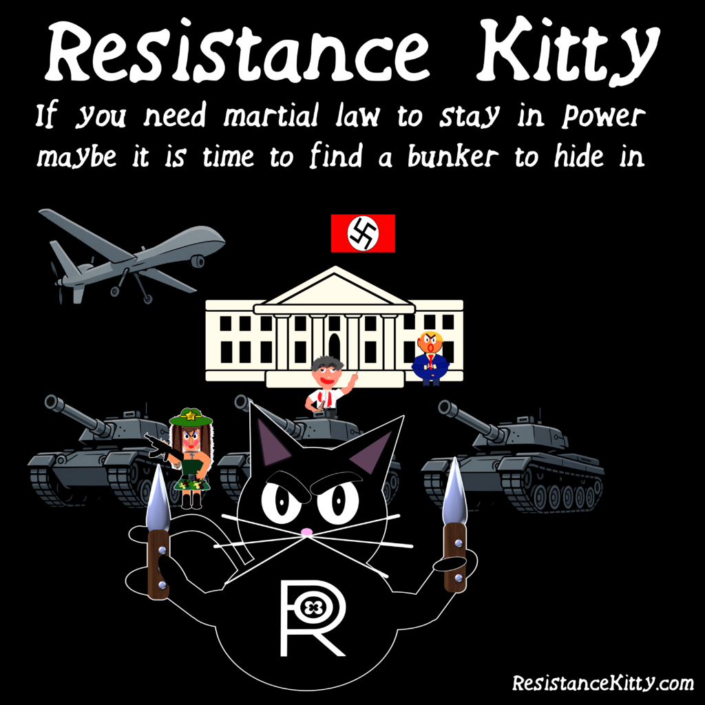 Resistance Kitty says “ If you need martial law to stay in power, maybe it is time to find a bunker to hide in.” There is Hegseth drunk and trump screaming with a nazi White House and a full army. Knives our kitty is ready to start revolting.