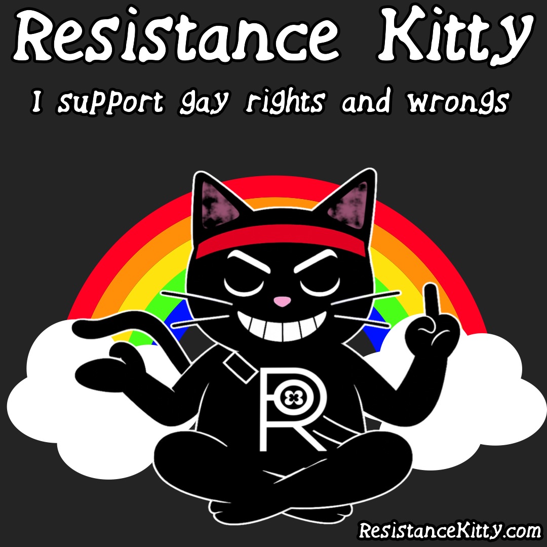 Resistance Kitty says “I support gay rights and wrongs” She is sitting on her pride pillow smiling and flipping homophobes off.
