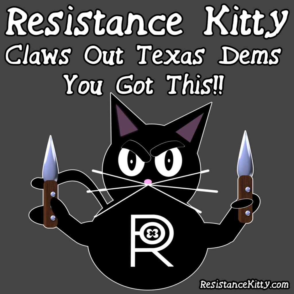 Resistance Kitty Says “Claws Out Texas Dems You Got This!!”
