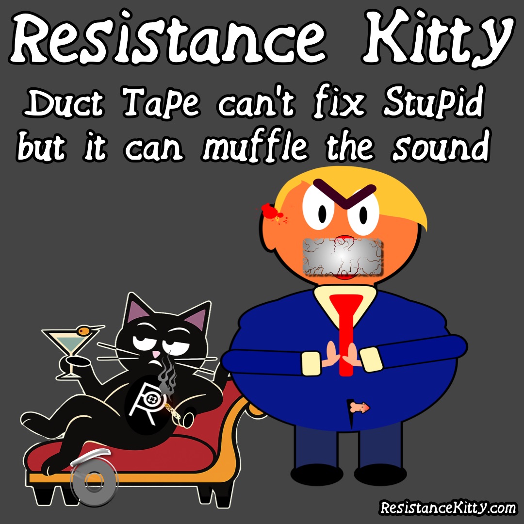 Resistance Kitty says, “Duct Tape can’t fix Stupid but it can muffle the sound” she is sitting in her couch with a cocktail after she has put duct tape on Cheeto Hitler’s mouth.
