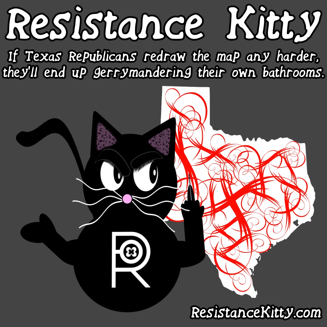 Resistance Kitty says “If Texas Republicans redraw the map any harder, they’ll end up gerrymandering their own bathrooms.” She is flipping off a map of Texas with red chaos lines.