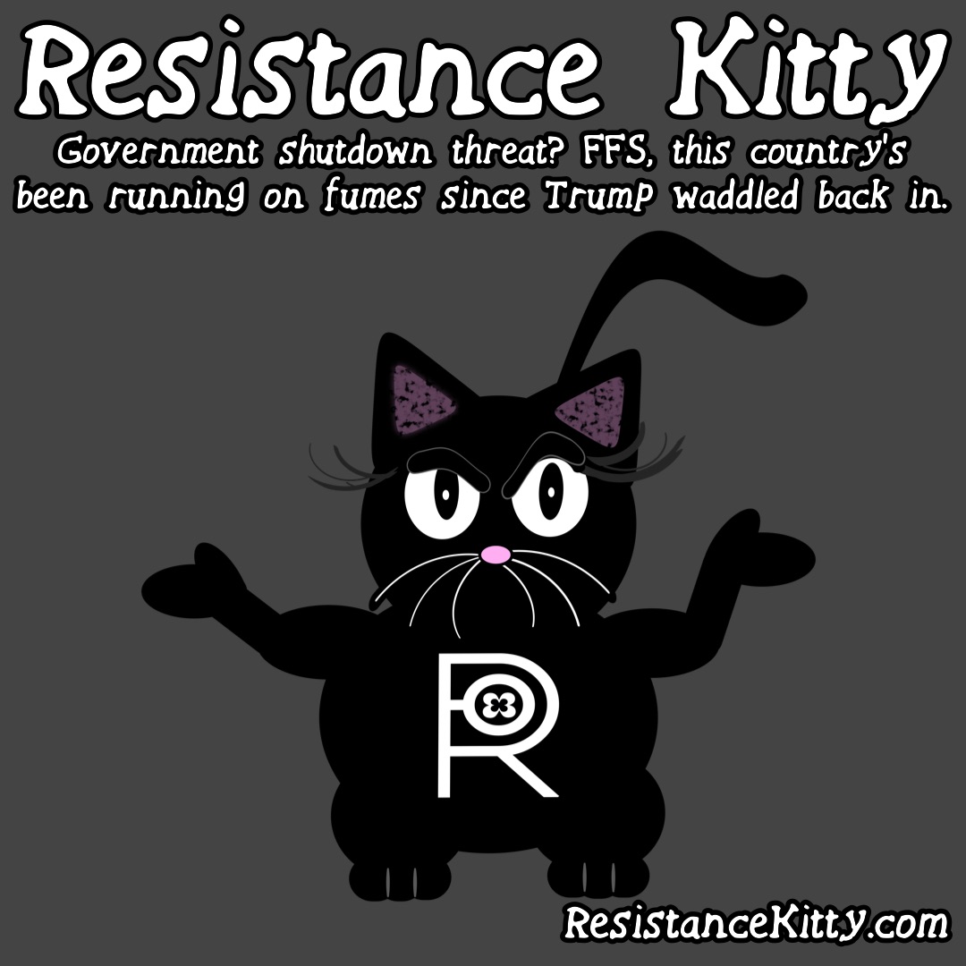 Resistance Kitty Says “Government shutdown threat? FFS, this country’s been running on fumes since Trump waddled back in.” She is rolling her eyes at the nonsense.