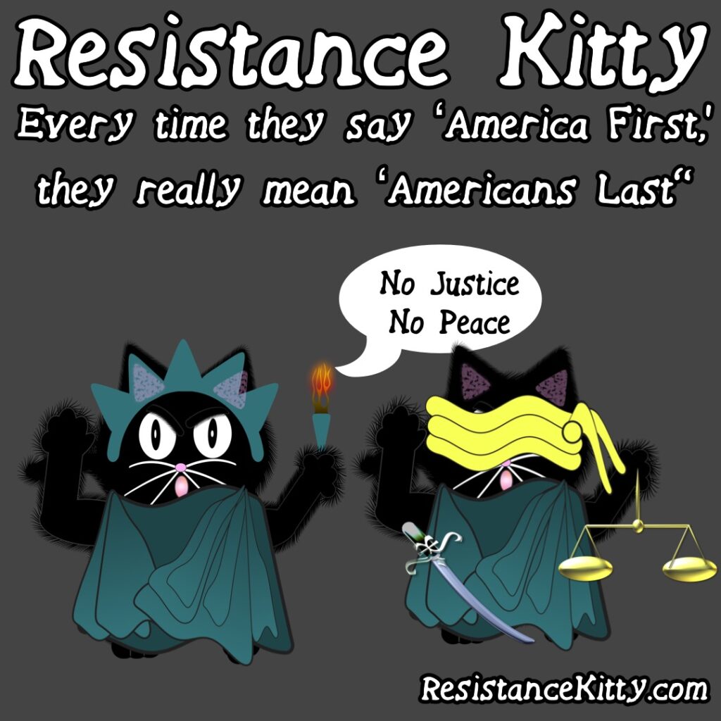 Resistance Kitty says "Every time they say ‘America First,’ they really mean ‘Americans Last' "