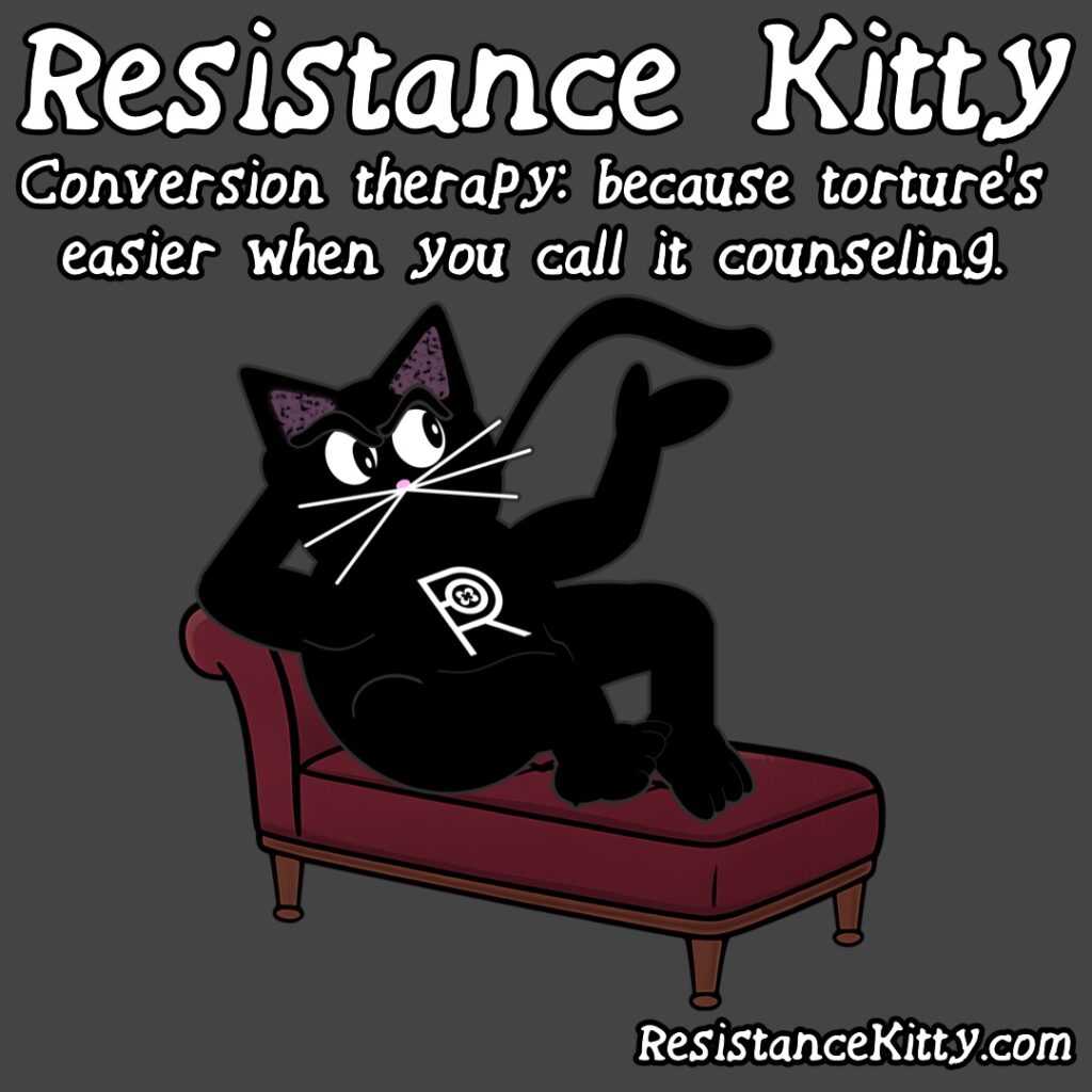 Resistance Kitty Says “Conversion therapy: because torture’s easier when you call it counseling.”