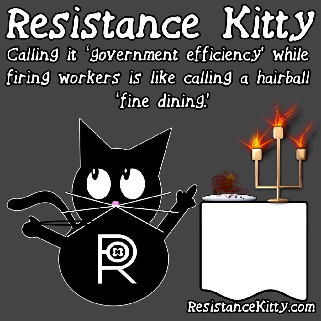 Resistance Kitty says “Calling it ‘government efficiency’ while firing workers is like calling a hairball ‘fine dining.’” She is standing next to a fine dining table with a hairball on a plate.