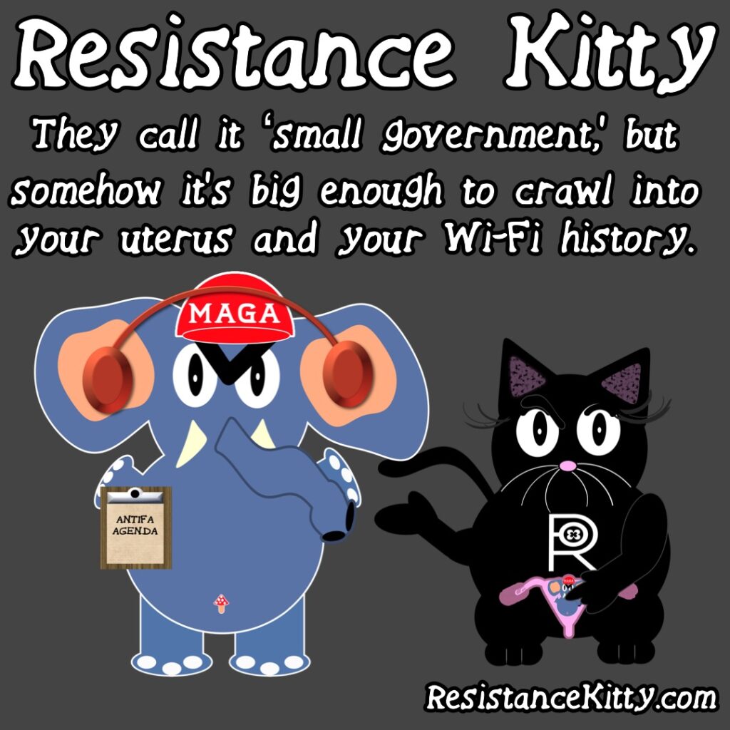 Resistance Kitty Says “They call it ‘small government,’ but somehow it’s big enough to crawl into your uterus and your Wi-Fi history.”