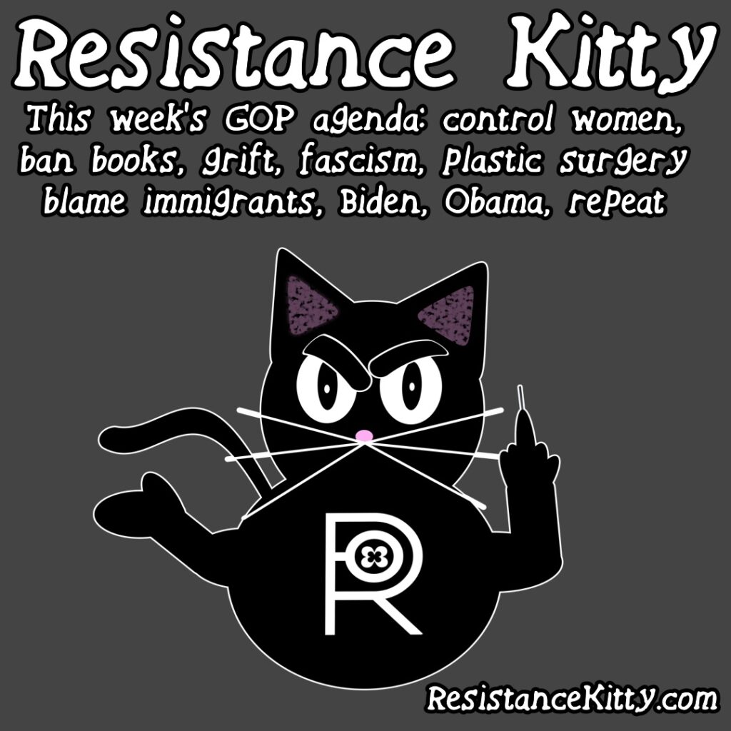 Resistance Kitty says “This week’s GOP agenda: control women, ban books, grift, fascism, plastic surgery blame immigrants, Biden, Obama, repeat.”