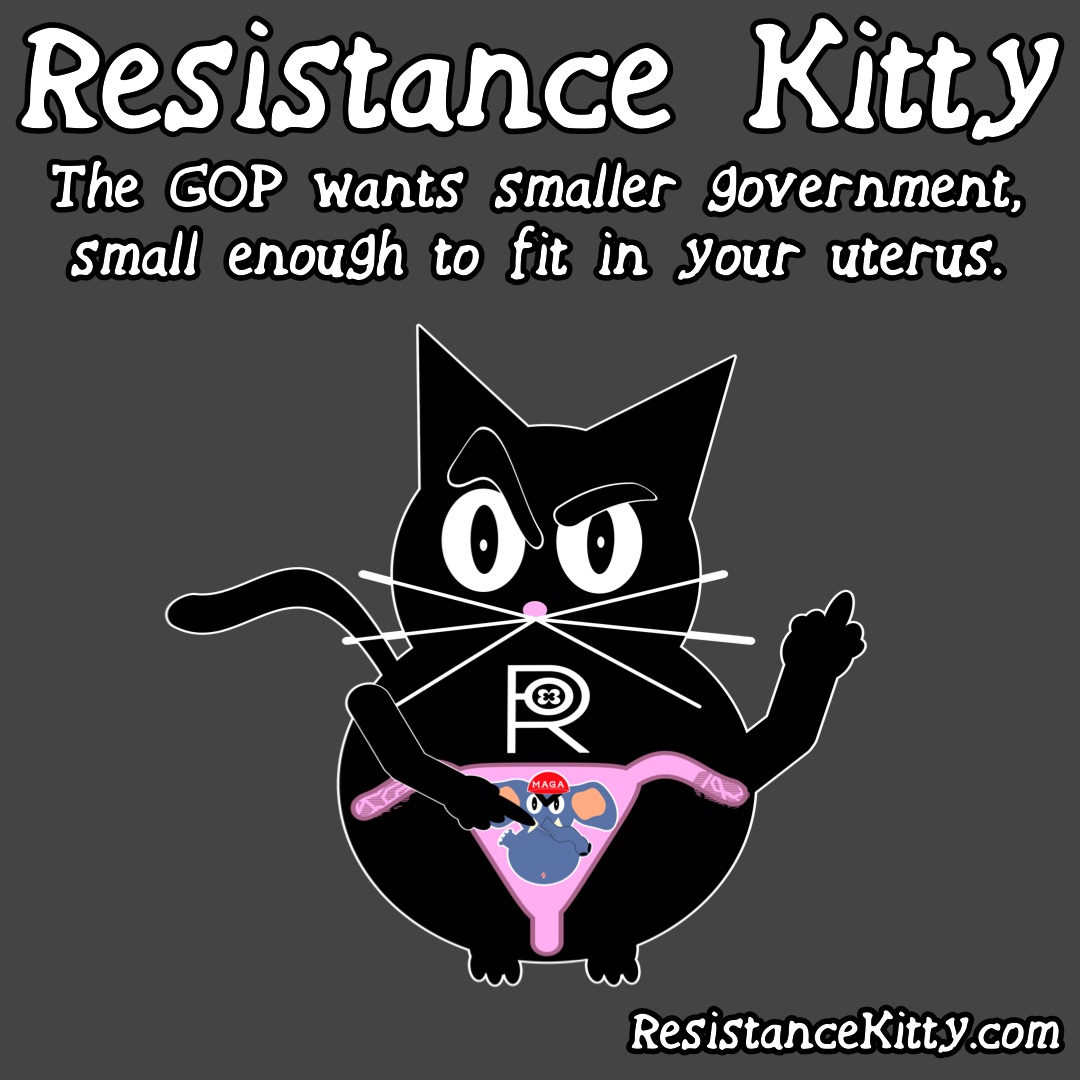 Resistance Kitty says “The GOP wants smaller government—small enough to fit in your uterus.”