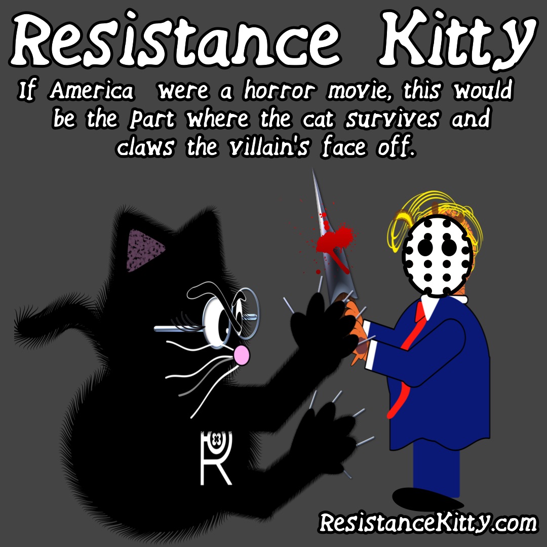 Resistance kitty says “If America were a horror movie, this would be the part where the cat survives and claws the villain’s face off.”