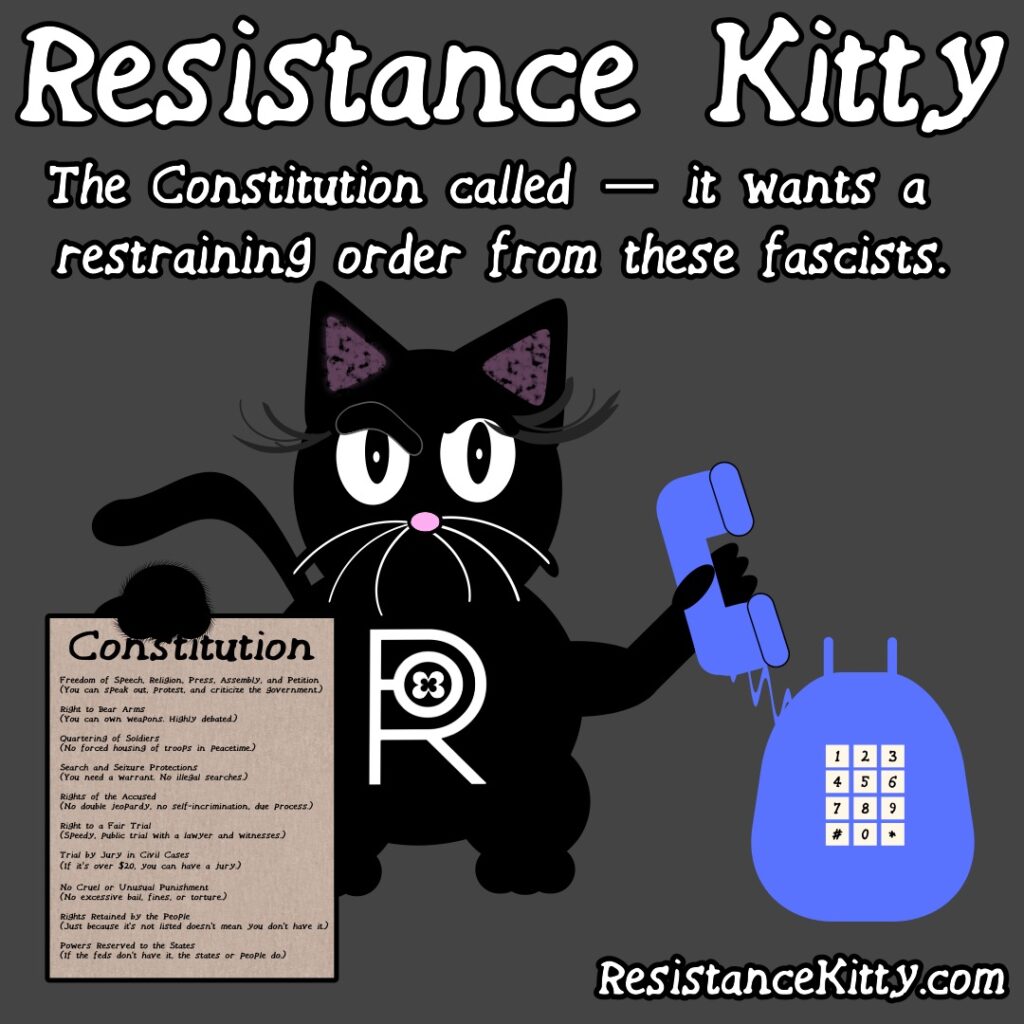 Resistance Kitty says “The Constitution called — it wants a restraining order from these fascists.”