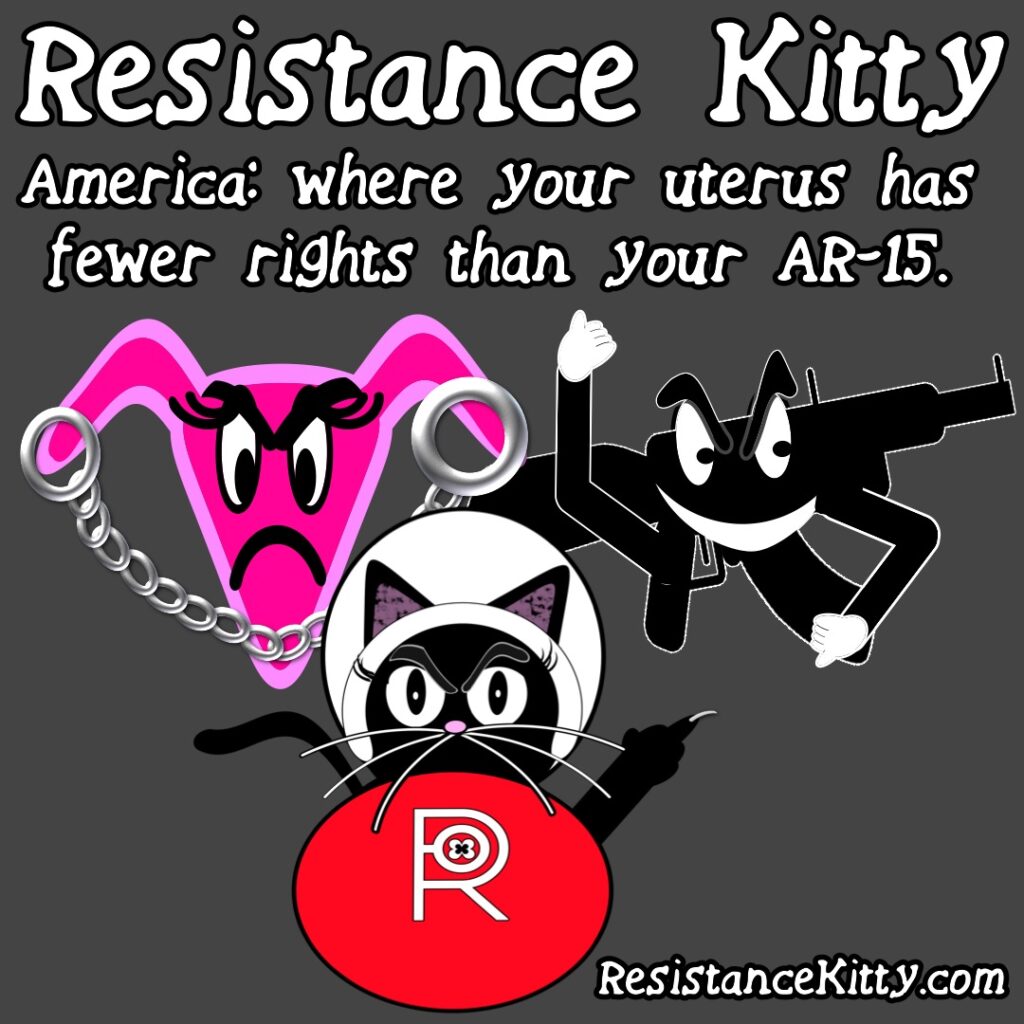 Resistance Kitty says “America: where your uterus has fewer rights than your AR-15.”