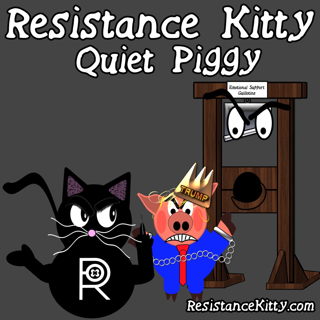 November 19, 2025 Day 303