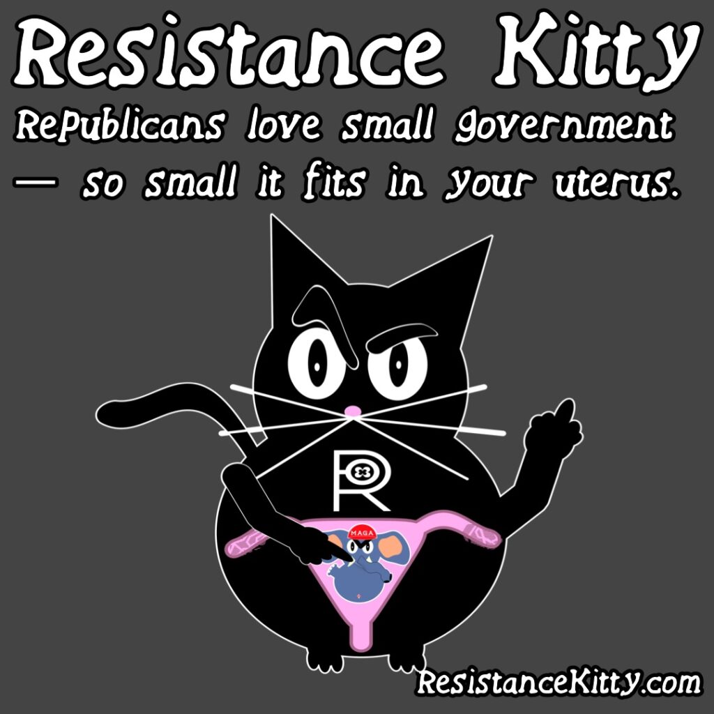 Resistance Kitty says “Republicans love small government — so small it fits in your uterus.”
