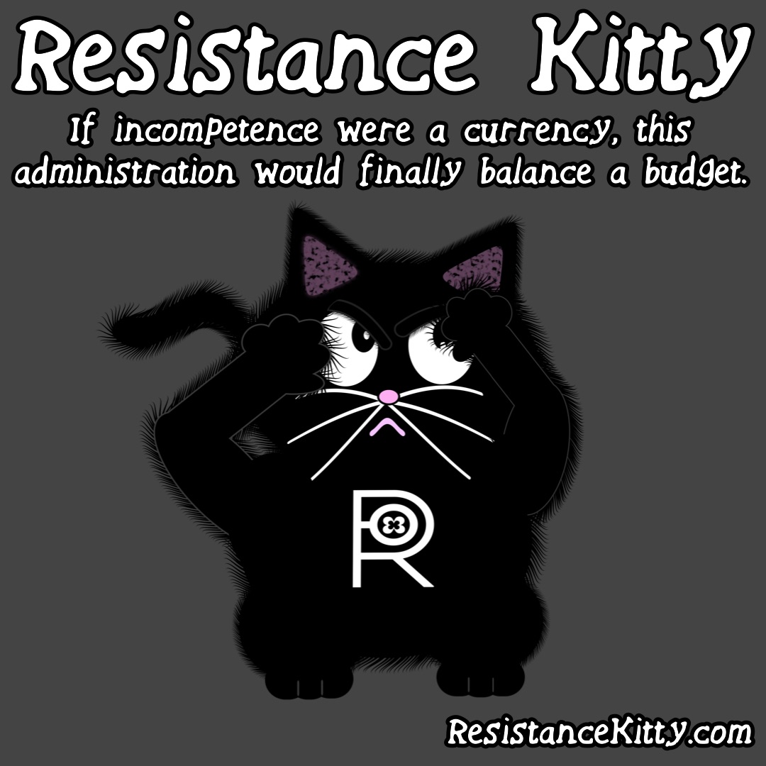 Resistance Kitty says “Authoritarians fear only three things: organized people, organized evidence, and guillotines.”