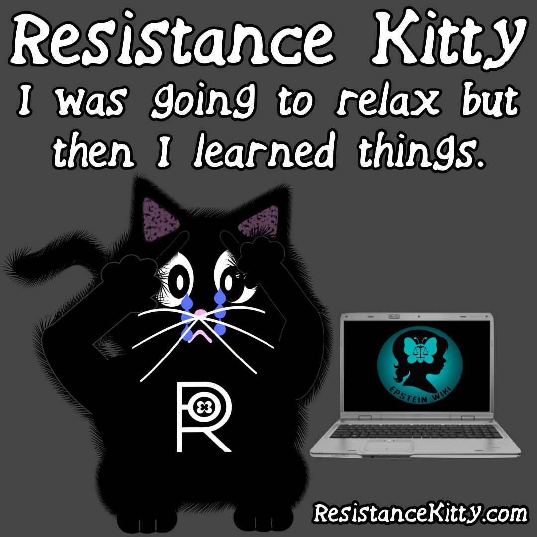 Resistance Kitty says “I was going to relax but then I learned things.”