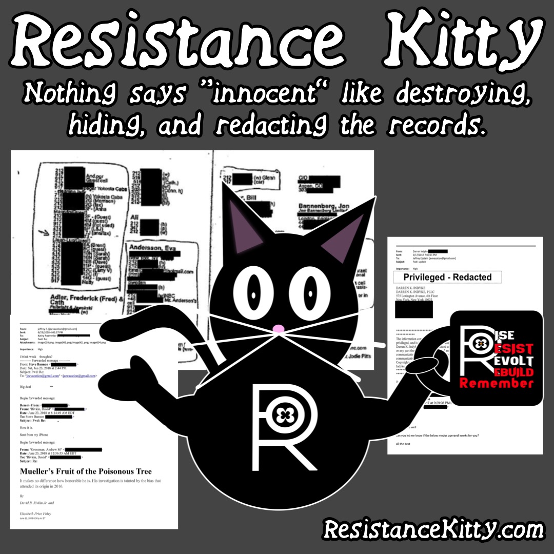 Resistance Kitty says “Nothing says “innocent” like destroying, hiding, and redacting the records.”