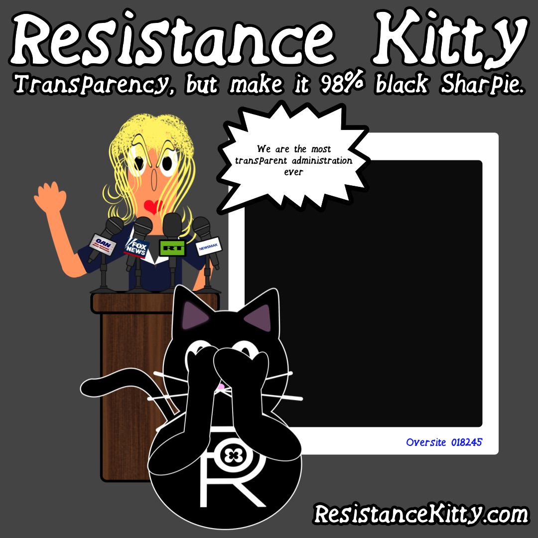 Resistance Kitty says “Transparency, but make it 98% black Sharpie.”