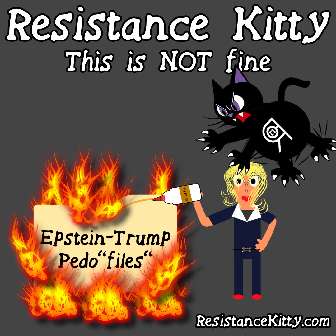 Resistance Kitty says “This is not fine”