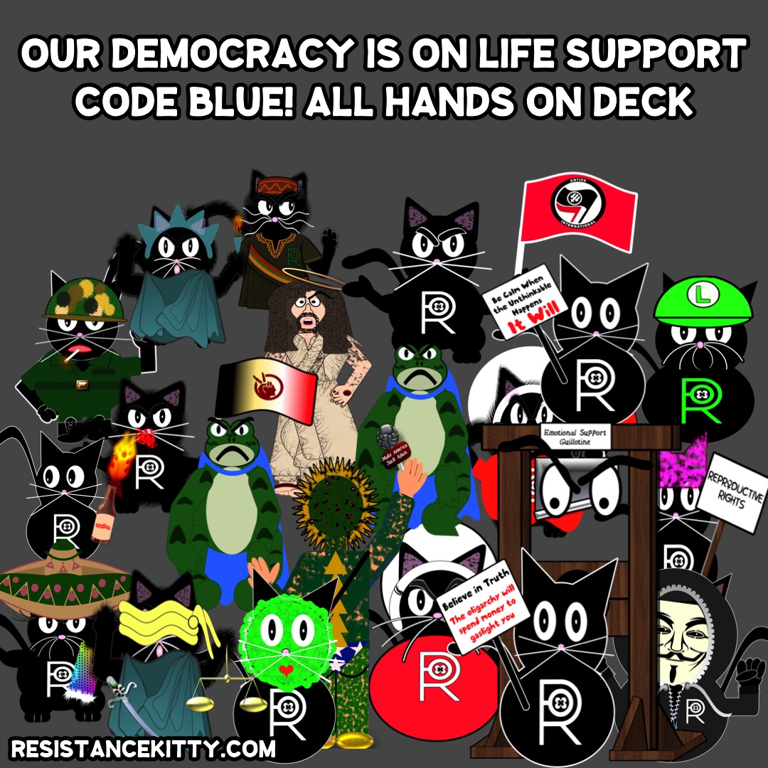 Day 366 Code Blue - Resistance Kitty