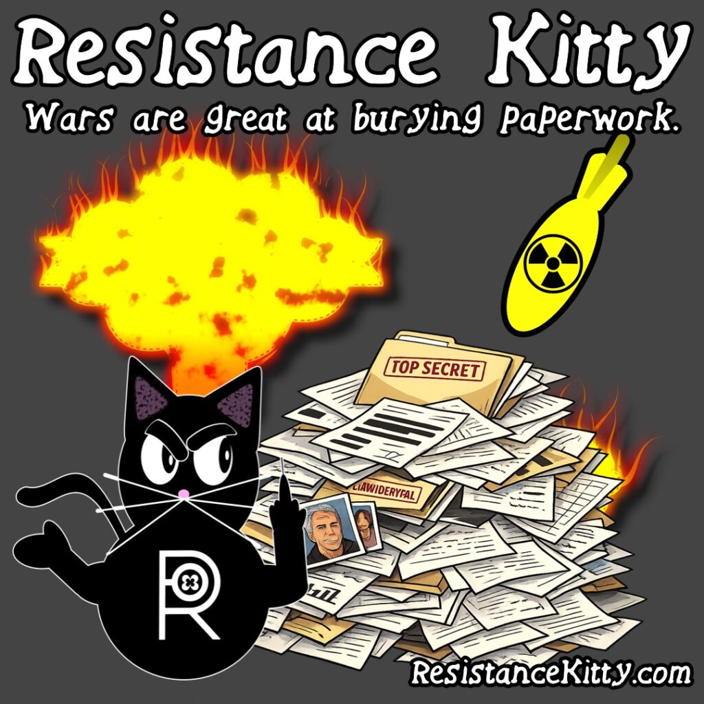 Resistance Kitty says”Wars are great at burying paperwork.”