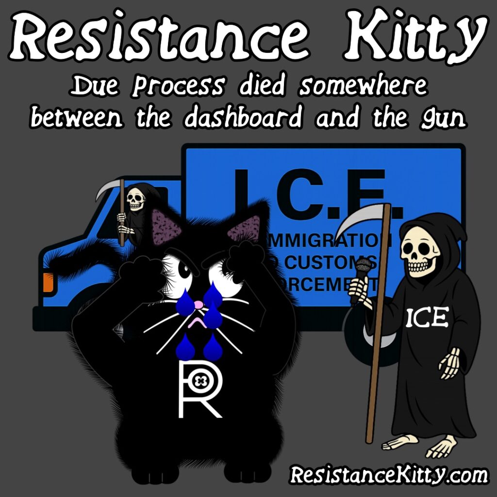 Resistance Kitty says, “Due process died somewhere between the dashboard and the gun”