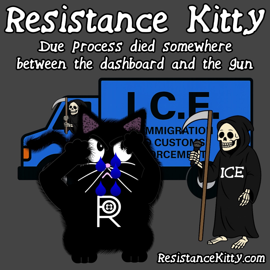 Resistance Kitty says, “Due process died somewhere between the dashboard and the gun”