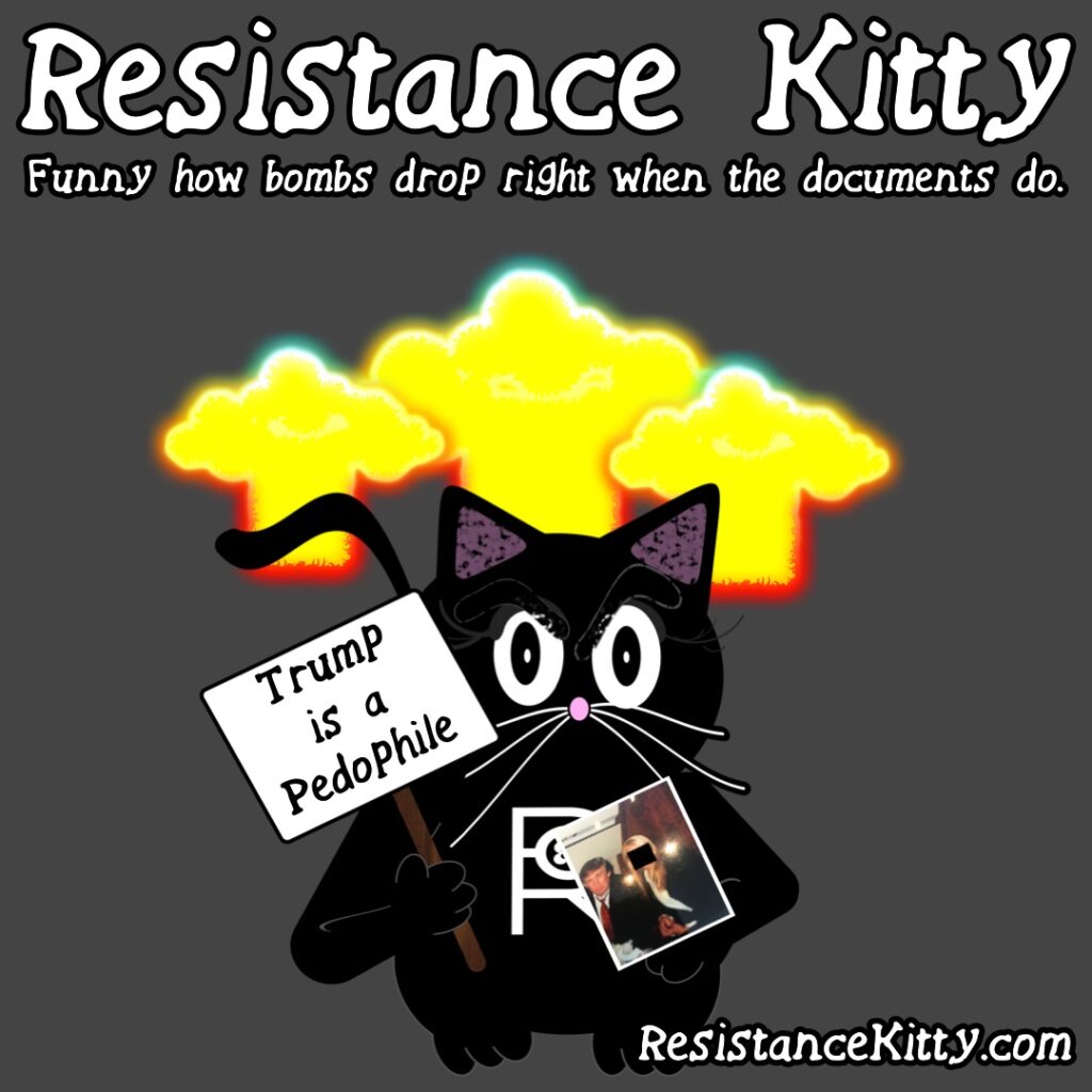 Resistance Kitty says “Funny how bombs drop right when the documents do.”