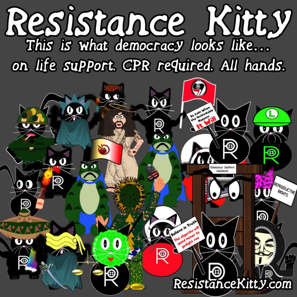 Resistance Kitty says “This is what democracy looks like… on life support. CPR required. All hands.”