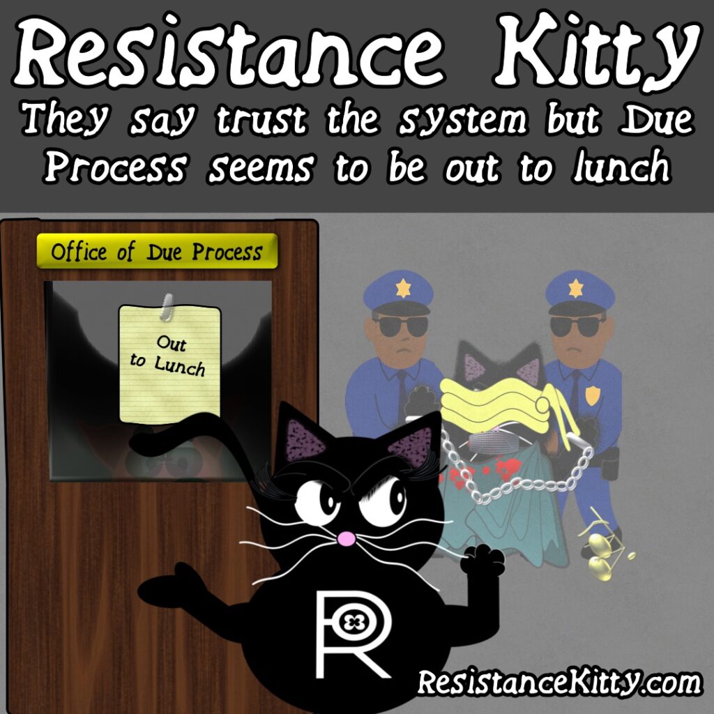Resistance Kitty says, “They say trust the system but Due Process seems to be out to lunch”
