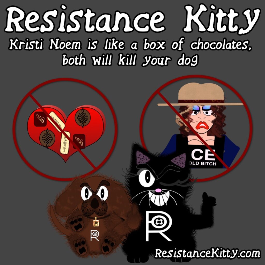 Resistance Kitty says, “Kristi Noem is like a box of chocolates, both will kill your dog”