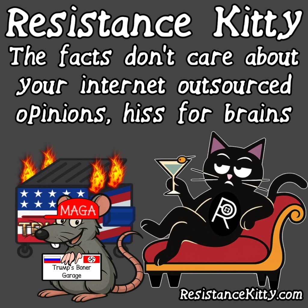 Resistance Kitty says, “The facts don’t care about your internet outsourced opinion, hiss for brains”