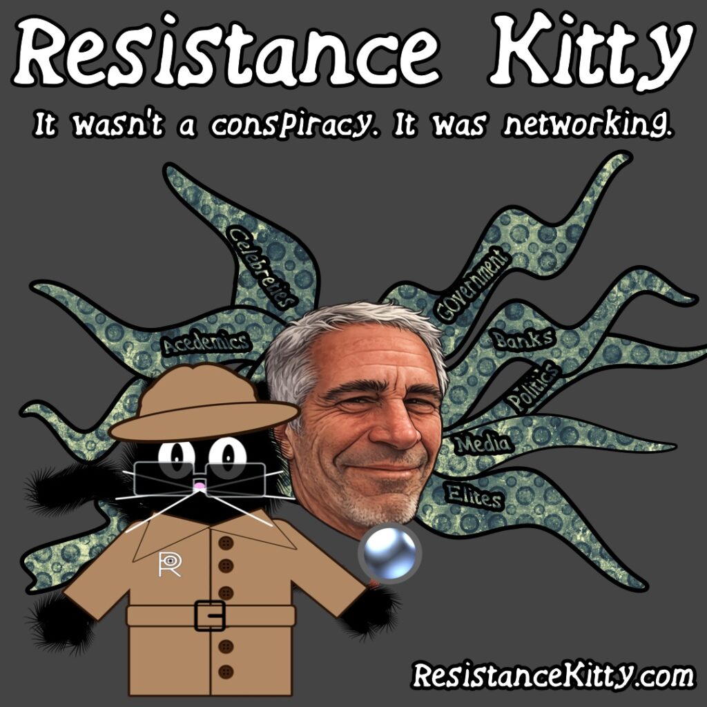 Resistance Kitty says “It wasn’t a conspiracy. It was networking.”