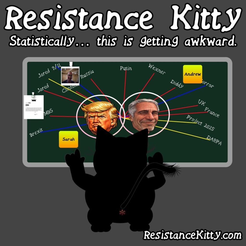 Resistance Kitty says “Statistically… this is getting awkward.”