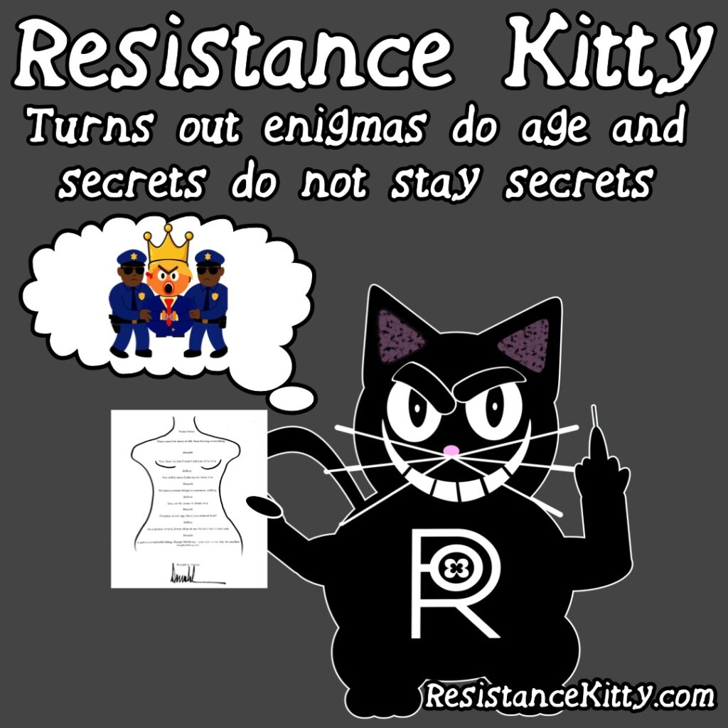 Resistance Kitty says “Turns out enigmas do age and secrets do not stay secrets”