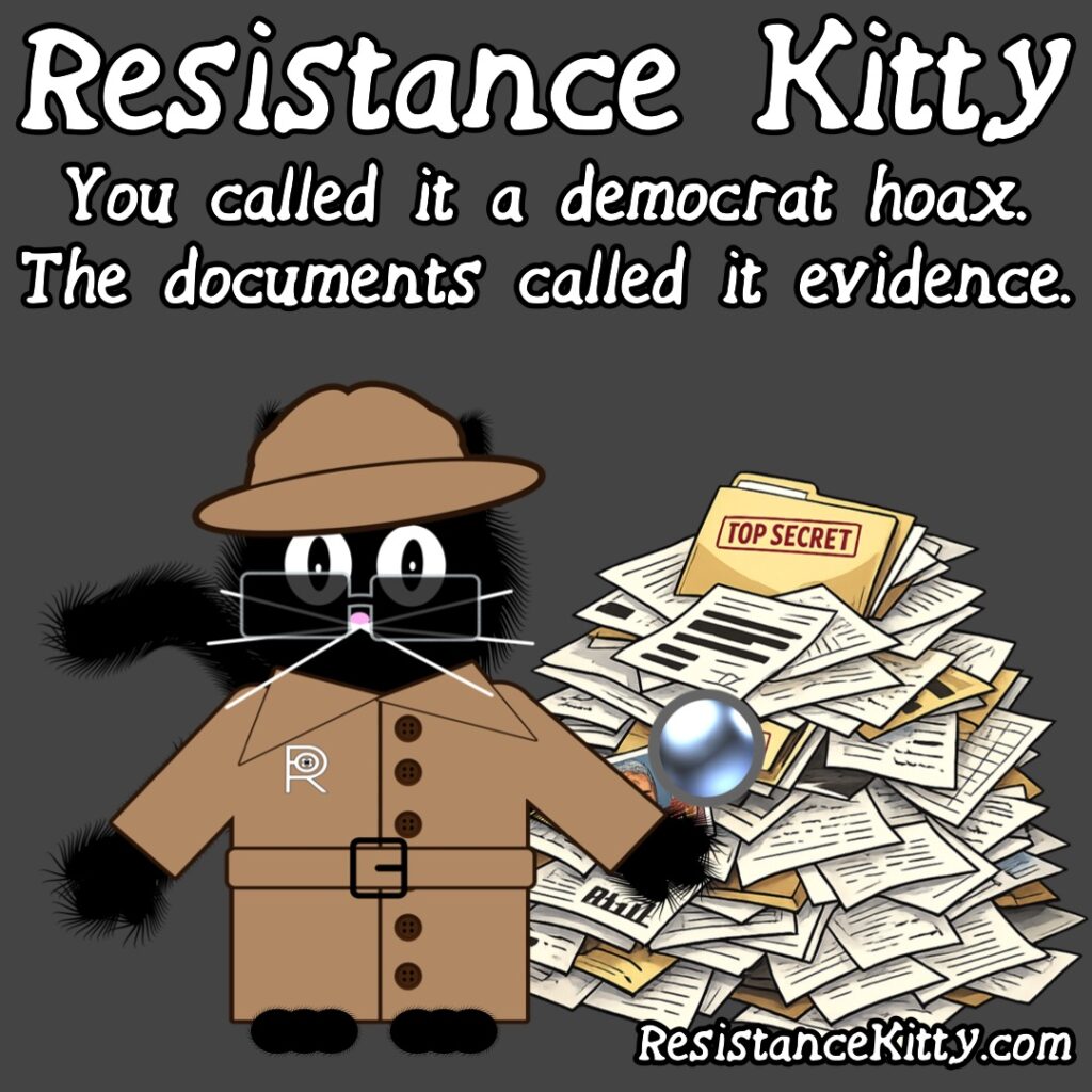 Resistance Kitty says “You called it a democrat hoax. The documents called it evidence.”