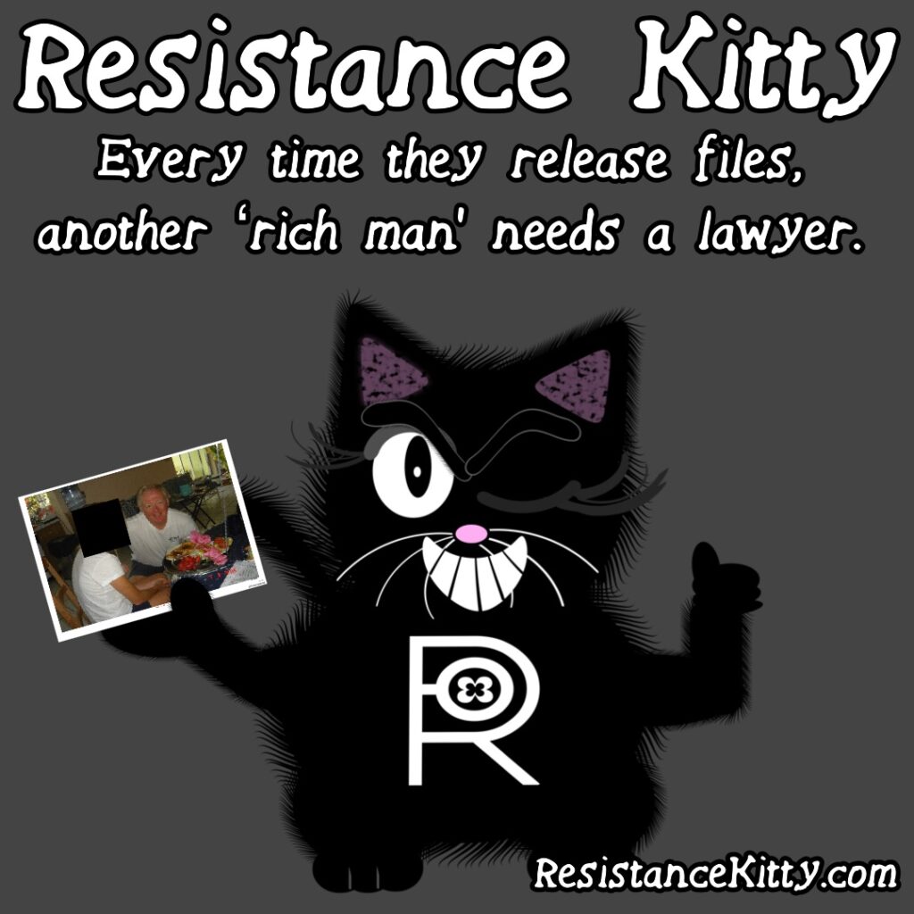 Resistance Kitty says “Every time they release files, another ‘rich man’ needs a lawyer.”