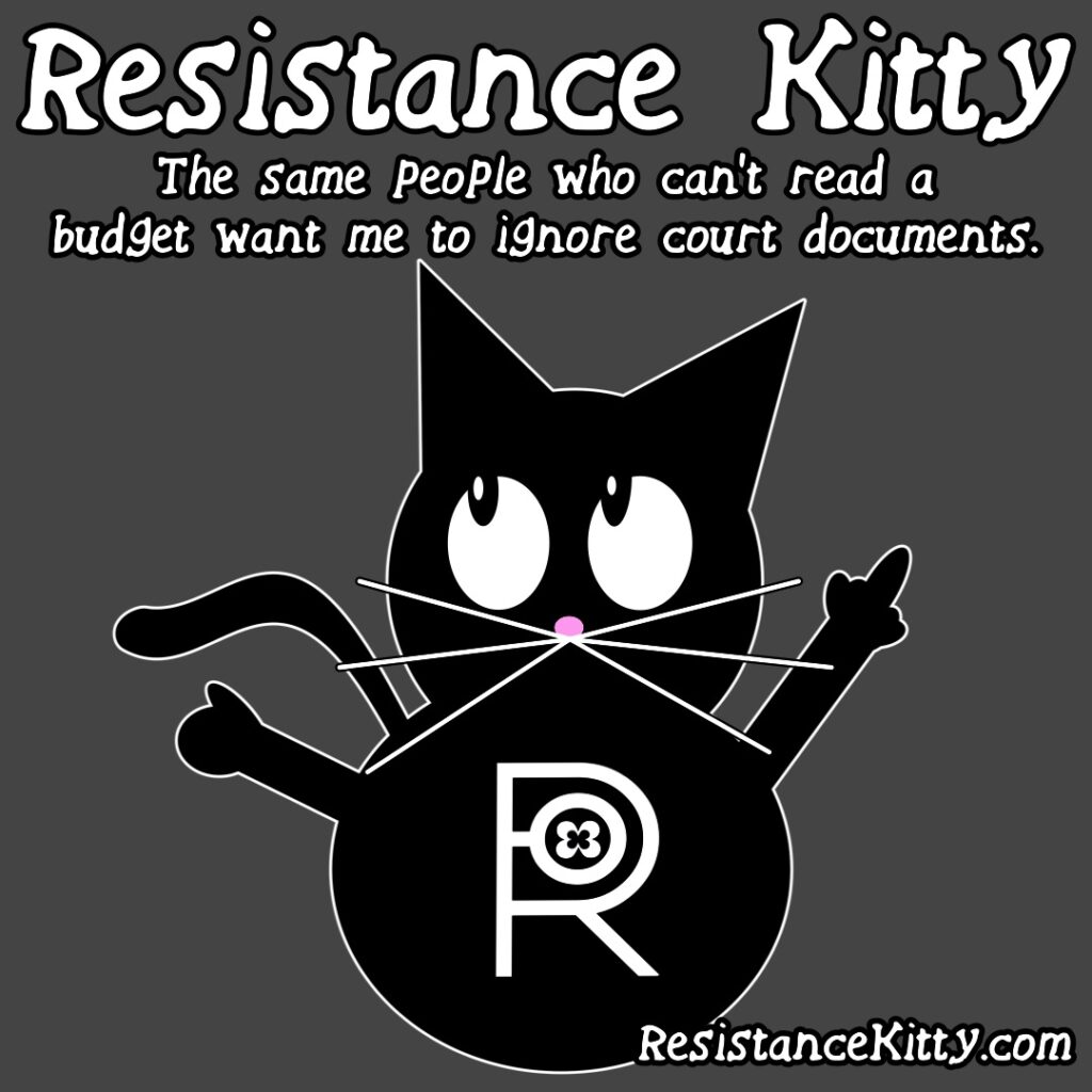Resistance Kitty says “The same people who can’t read a budget want me to ignore court documents.”