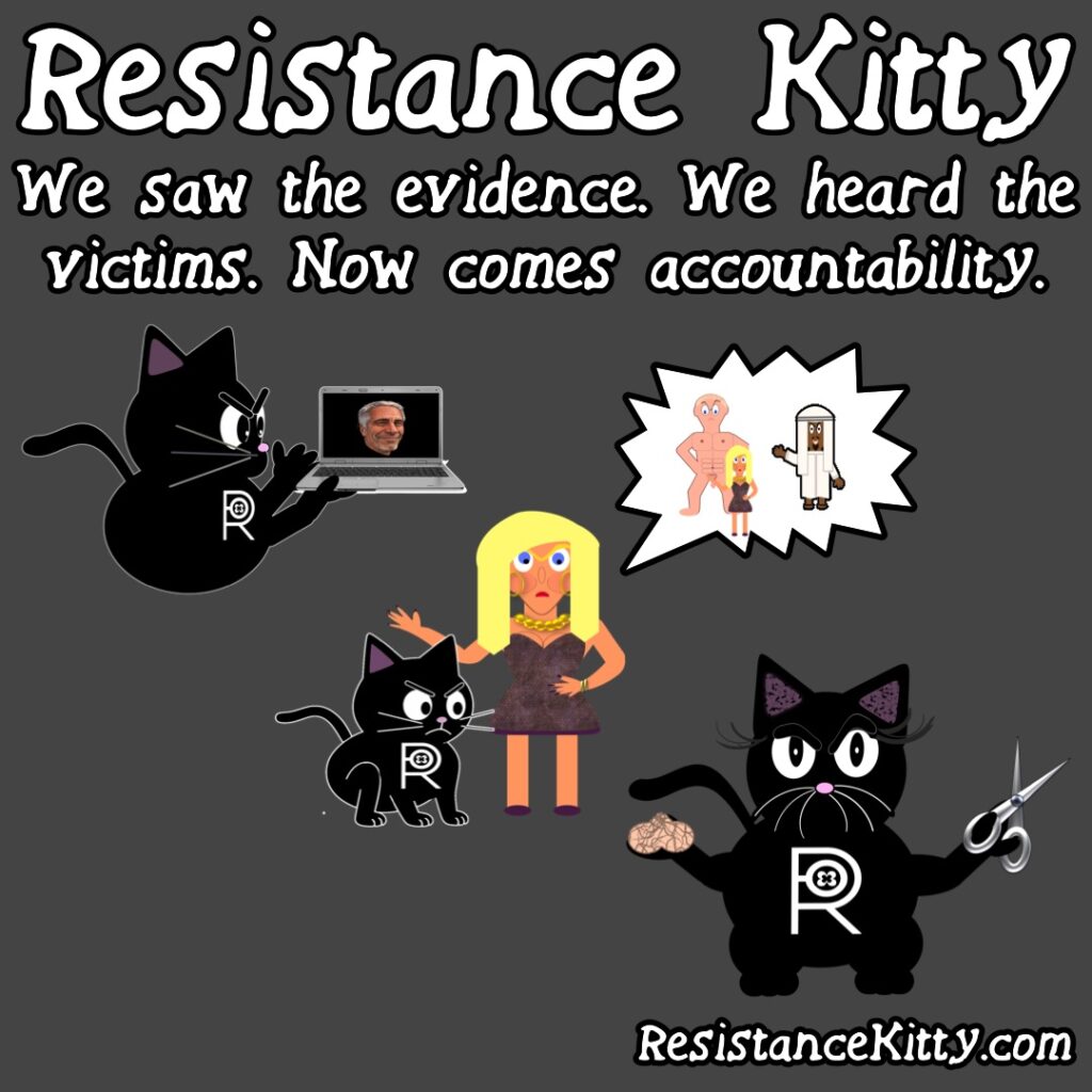 Resistance Kitty Says “We saw the evidence. We heard the victims. Now comes accountability.”