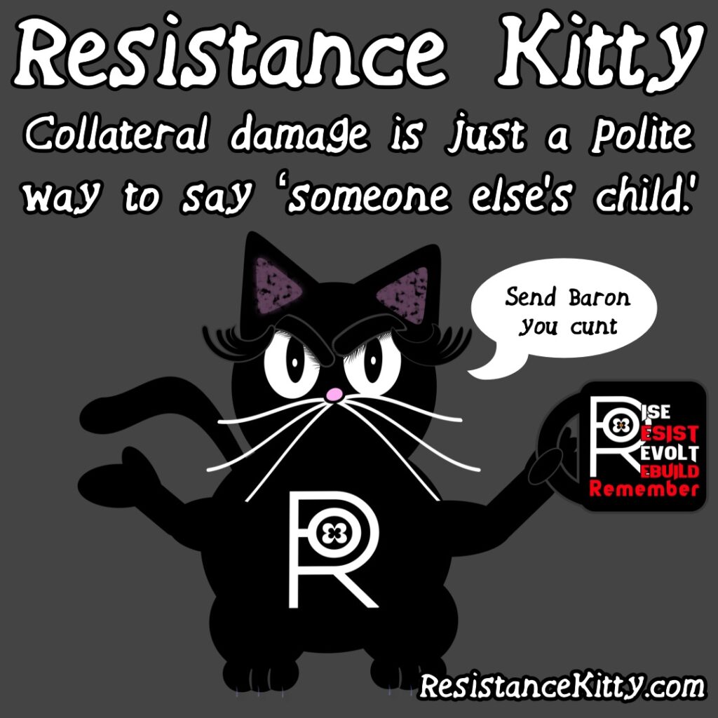 Resistance Kitty says “Collateral damage is just a polite way to say ‘someone else’s child.’”