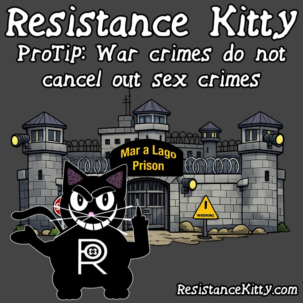 Resistance Kitty Says “ProTip: War crimes do not cancel out sex crimes”