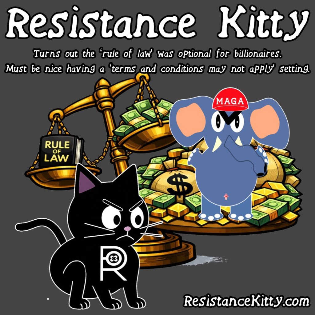 Resistance Kitty says “Turns out the ‘rule of law’ was optional for billionaires. Must be nice having a ‘terms and conditions may not apply’ setting.”